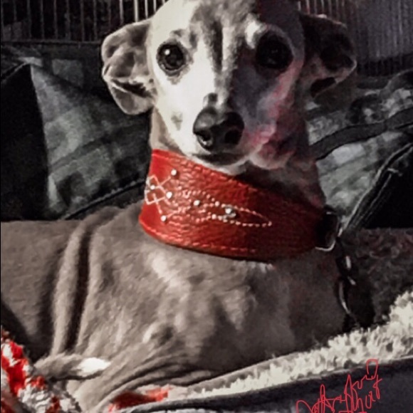 Meet your Posher,Jami,Beulah is my Grandma/Momma❤️ - Picture 6 of 8